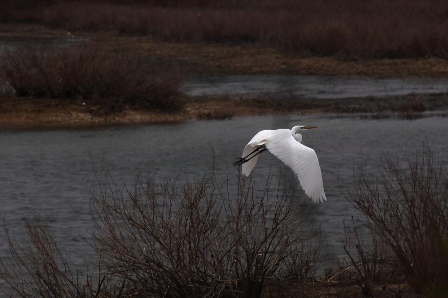 2013 04 16 IMG 03267e